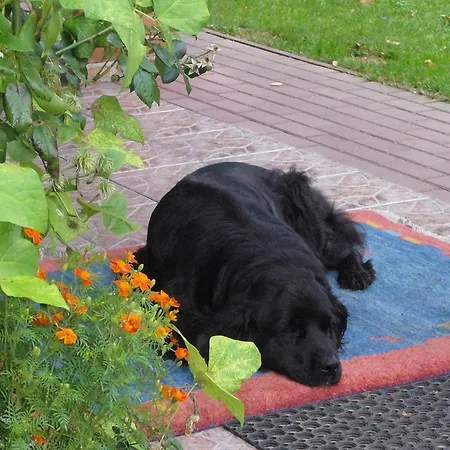 Willa Beautiful Home, Peace And Quiet, Polanow, Cleaning Included Polanów