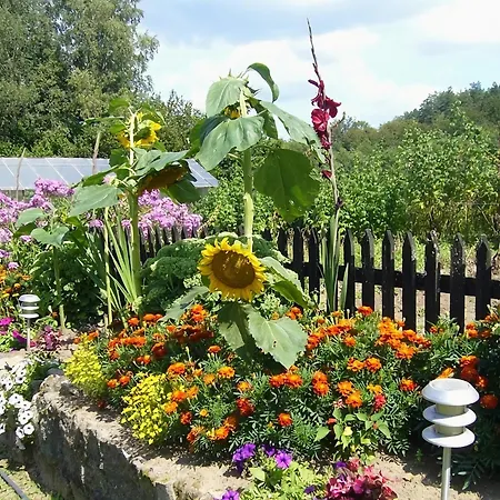 Beautiful Home, Peace And Quiet, Polanow, Cleaning Included *